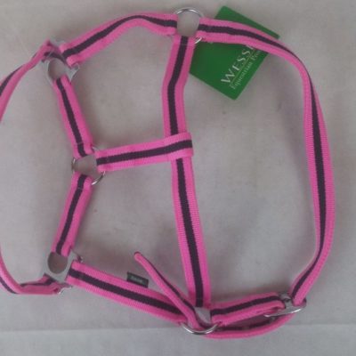 Wessex economy Halter 1"