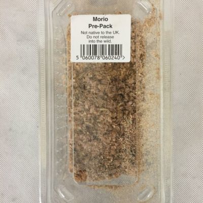 MORIO PRE-PACK