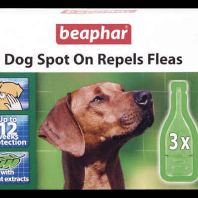 Beaphar Dog Spot-On 12 Week Flea Treatment