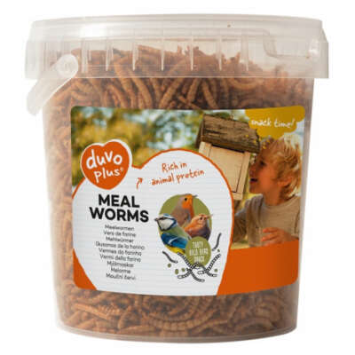 Duvo+ Meal Worms Snacks for Wild Birds 200 g