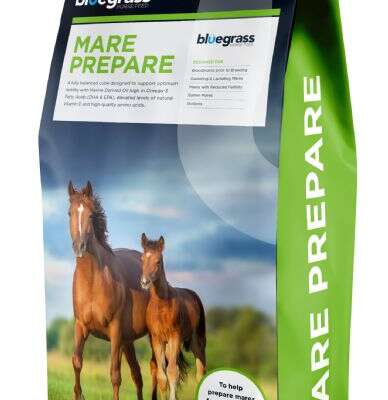 Bluegrass Mare Prepare