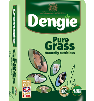 Dengie Pure Grass Pellets 20KG
