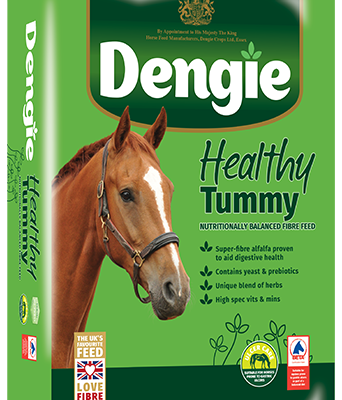 Dengie Healthy Tummy