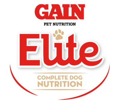 Gain Elite