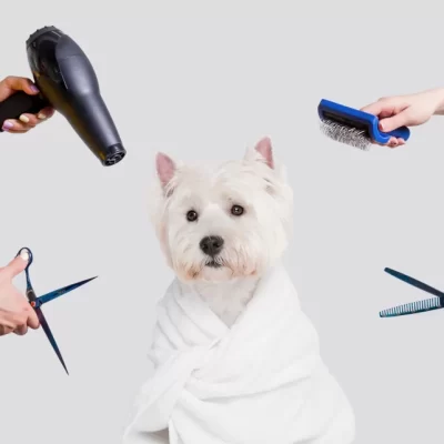Grooming Supplies