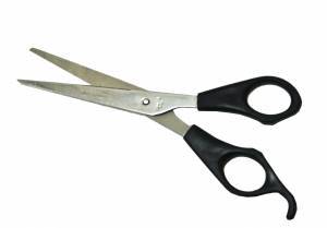 Scissors – Agrihealth – Economy Scissors