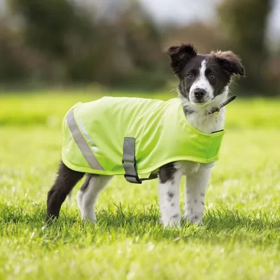 Hi Vis Vest