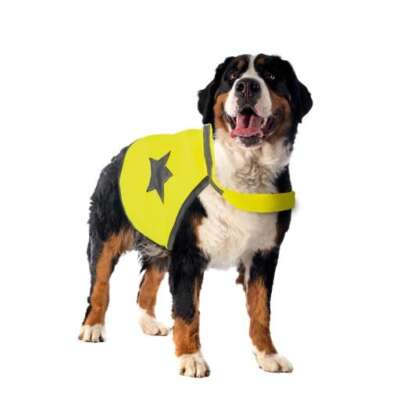 Duvo Plus SEEcurity Neon Reflective Vest for Dogs XL