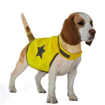Duvo Plus SEEcurity Neon Reflective Vest for Dogs Med