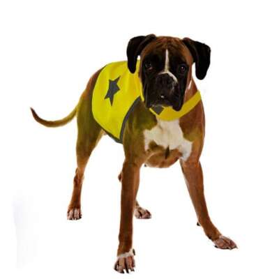 Duvo Plus SEEcurity Neon Reflective Vest for Dogs L