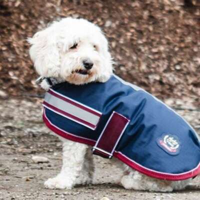 Mackey Buster 600D Dog Rug