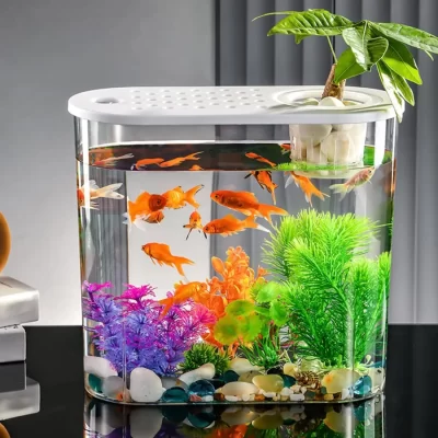 Fish Tanks & Accessories