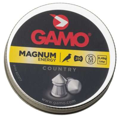 Gamo Magnum Country .22