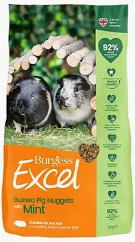 Burgess Excel Guinea Pig Nuggets With Mint 3kg