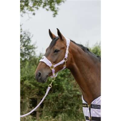 Headcollars & Leadropes