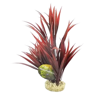 Aquatic Dreamscapes Tipped Sword Plant