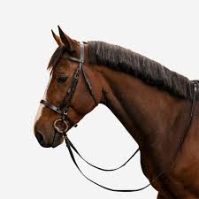 Bridles