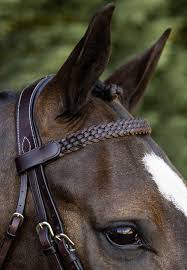 Browbands