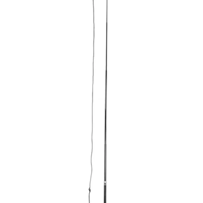 Lunging Whip Black