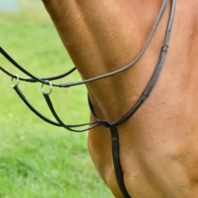 Martingales