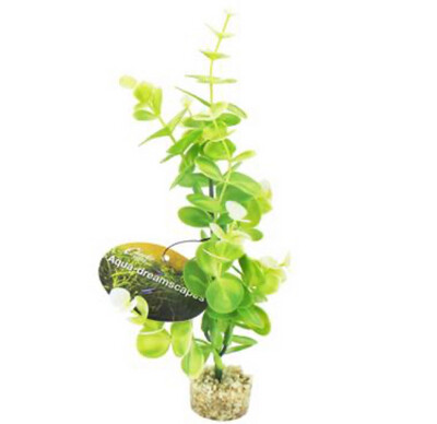 Aqua Dreamscapes Water Eucalyptus Tank Ornament 22cm