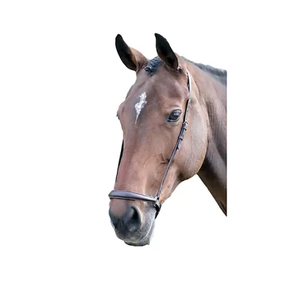 Shires Blenheim Noseband Havana Full