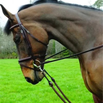 Breeze Up Bungee Martingale Brown Full