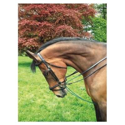 Celtic Equine Draw Reins Black/Green