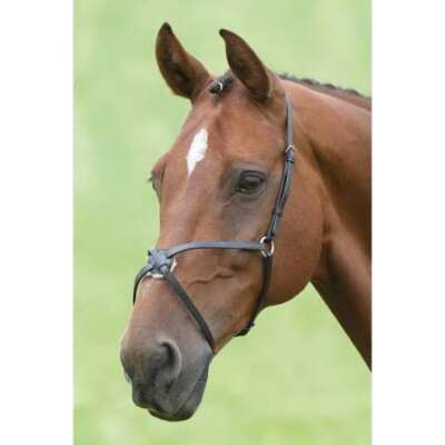 Mackey Grackle Noseband Brown Pony