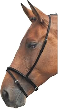 Shires Blenheim Flash Noseband Havana Cob