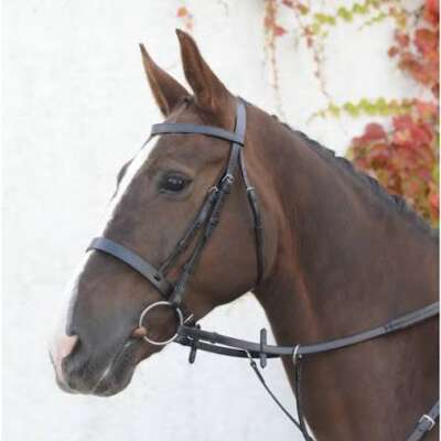 Mackey Classic Hunting Bridle & Reins Black Cob