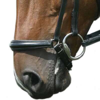 Nosebands