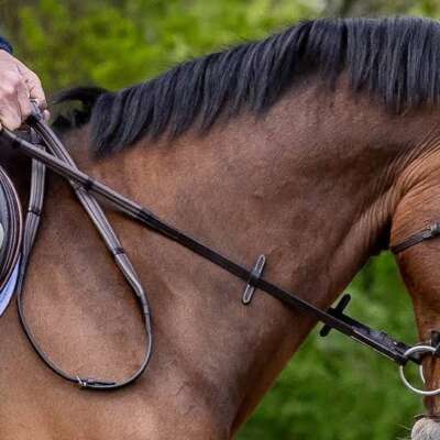 Reins