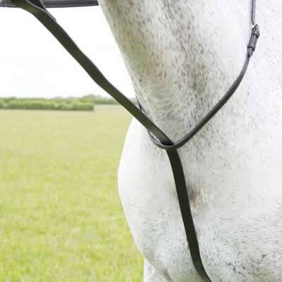 Shires Blenheim Standing Matringale Havana Full