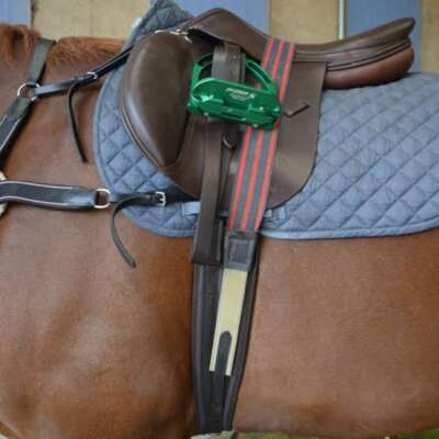 IV Horse Overgirth Navy/Red 81"