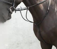 Equi-Sential Running Martingale Black Pony