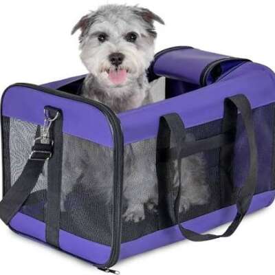 Travel Carriers